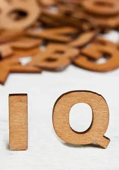 Một công dân Hàn Quốc có chỉ số IQ cao nhất thế giới