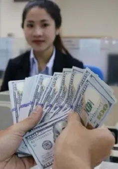 Hơn 5 tỷ USD kiều hối về TP Hồ Chí Minh trong nửa đầu năm