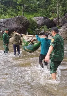 Cứu sống người đàn ông sau 4 ngày bị rơi xuống vực trong rừng