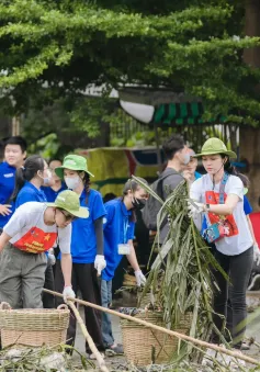 Tuổi trẻ TP Hồ Chí Minh ra quân dọn rác, xóa điểm đen ô nhiễm môi trường