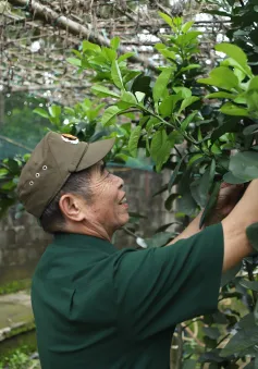 Những thương binh xướng "bài ca vỡ đất" dưới chân đèo Tằng Quái