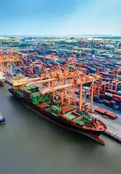 Doanh nghiệp logistics chia sẻ khó khăn chi phí vận tải biển