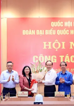 Bà Bùi Thị Minh Hoài được bầu làm Trưởng đoàn đại biểu Quốc hội TP Hà Nội