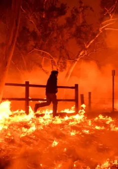 Cháy rừng thiêu rụi nhiều ngôi nhà trên sườn đồi, cư dân buộc phải sơ tán ở miền Nam California