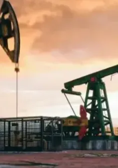 Dòng vốn đầu tư khổng lồ đổ về "vựa vàng đen"