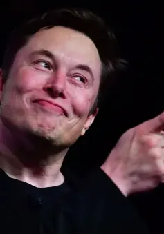 Elon Musk tuyên chiến với ngành quảng cáo vì tẩy chay X