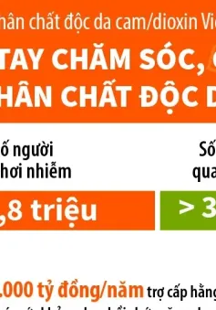 Ngày vì nạn nhân chất độc da cam/dioxin Việt Nam (10/8): Chung tay chăm sóc, giúp đỡ các nạn nhân