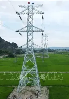 Thanh Hóa: Nước rút trên công trường thi công đường dây 500kV mạch 3