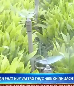 Vai trò trụ cột của các cấp Mặt trận Tổ quốc Việt Nam tại TP Đà Nẵng