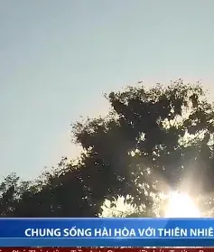 Quảng Trị quyết tâm chung sống hài hòa với thiên nhiên