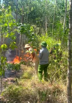 Hà Tĩnh: Huy động hàng trăm người dập tắt đám cháy rừng