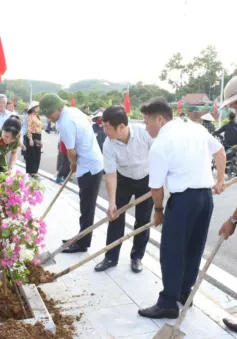 Quảng Ninh: Người dân trồng hàng chục đường hoa dịp Quốc khánh mùng 2/9