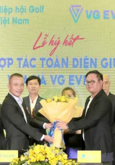 VGA và VG Events đồng hành trong giai đoạn 2025-2029