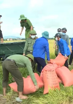 Nông dân Bắc Trung Bộ  gặt lúa chạy bão