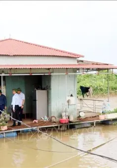 Hải Dương: Di dời hàng trăm hộ dân sống trên thuyền bè, khu tập thể cũ, khu nhà ở nguy hiểm