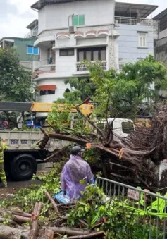 Chiều 7/9, Đông Bắc Bộ và Thủ đô Hà Nội có gió rất mạnh