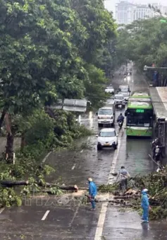 Cây xanh đổ la liệt trên nhiều tuyến phố Hà Nội làm 7 người thương vong