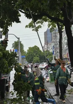 Siêu bão Yagi gây thiệt hại lên đến 8,5 tỷ USD cho tỉnh Hải Nam, Trung Quốc