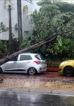 Bảo hiểm bồi thường do bão: Ứng tiền mặt trước, hoàn chứng từ sau