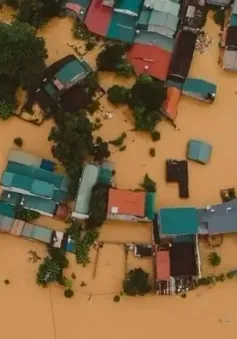 181 người chết và mất tích do mưa bão, lũ