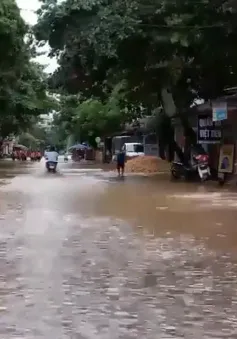 Không chủ quan khi nước lũ lên nhanh