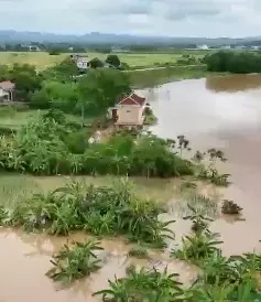 Lũ trên sông Bưởi dâng cao gây ngập 85 nhà dân