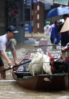 Nhiều tuyến đường Hà Nội tiếp tục ngập sâu do mưa lớn