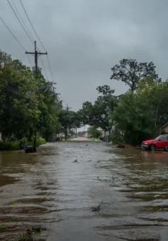 Bão Francine đổ bộ bang Louisiana (Mỹ) gây ngập lụt