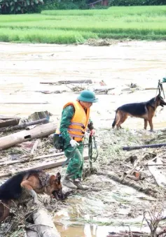 Vụ sạt lở tại Làng Nủ (Lào Cai): “Tìm cái còn trong cái mất” để giảm tối đa đau thương