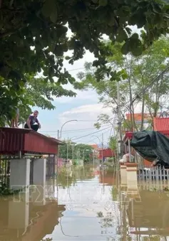 Ninh Bình dừng di dời người dân do lũ trên sông Hoàng Long đang xuống