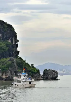 3 ngày làm sạch Vịnh Hạ Long