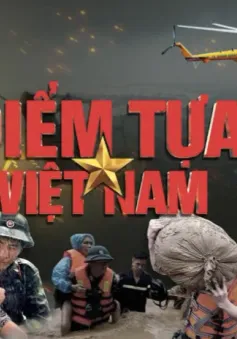 Chương trình đặc biệt "Điểm tựa Việt Nam": Những câu chuyện chân thực từ tâm bão, tâm lũ