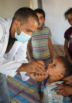 Tỷ lệ bao phủ vaccine bại liệt ở Gaza đã đạt 90%