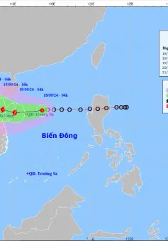 Áp thấp nhiệt đới có khả năng mạnh lên thành bão giật cấp 10