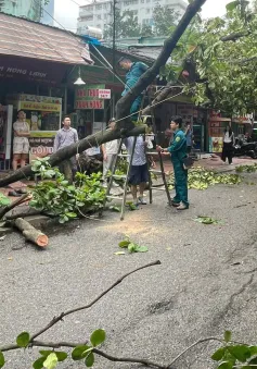 Hà Nội chạy đua với thời gian dựng lại hơn 4.000 cây xanh gãy đổ