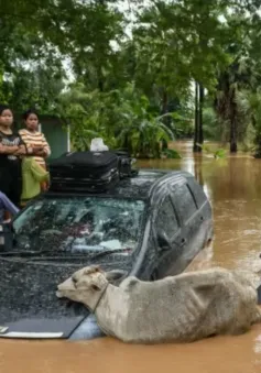 Số người chết do lũ lụt sau bão Yagi tăng lên 293, Myanmar kêu gọi quốc tế giúp đỡ