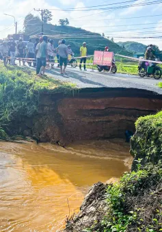 Lâm Đồng: 3 người chết, 10 tỷ đồng thiệt hại do thiên tai từ đầu năm 2024