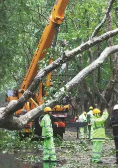 Bão Bebinca ảnh hưởng hơn 430.000 người tại Trung Quốc