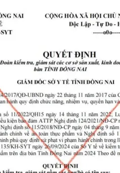 Đồng Nai: Giả mạo văn bản Sở Y tế để kiểm tra các cơ sở sản xuất, kinh doanh thực phẩm