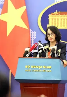 Kiên quyết phản đối cách hành xử thô bạo của lực lượng Trung Quốc với ngư dân Việt Nam