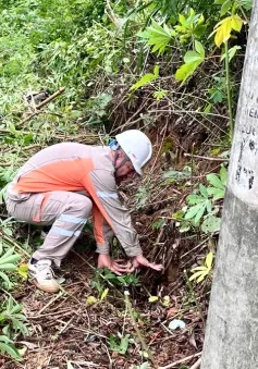 Xuất hiện vết nứt núi ở Phong Thổ, Lai Châu