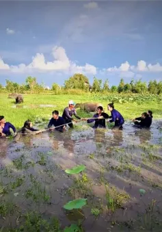 Du lịch Đồng Tháp khởi sắc