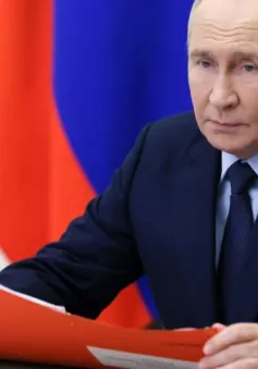 Nga bị tấn công mạng quy mô lớn chưa từng có trong ngày sinh nhật Tổng thống Putin