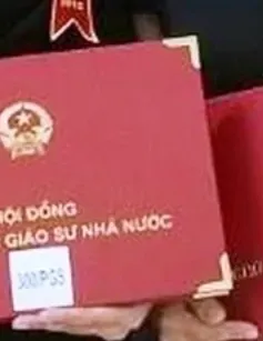 91 người bị loại khỏi danh sách xét giáo sư, phó giáo sư