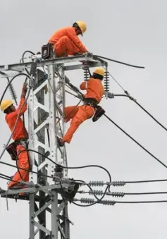 EVN lỗ gần 22.000 tỷ đồng trong năm 2023