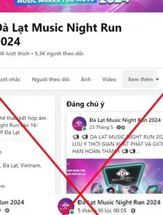 Giả mạo giải chạy “Đà Lạt Music Night Run” lừa đảo chiếm đoạt tài sản