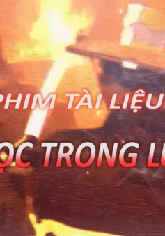 Phim tài liệu "Ngọc trong lửa"