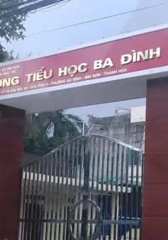 Cô giáo véo tai, 'vỗ' lưng học sinh lớp 1 đến thâm tím