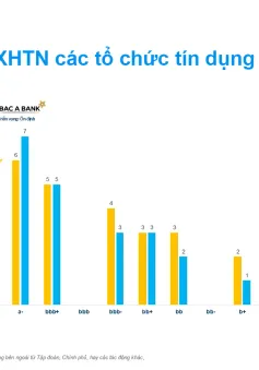 Thương hiệu lớn ngành xây dựng được nâng bậc xếp hạng