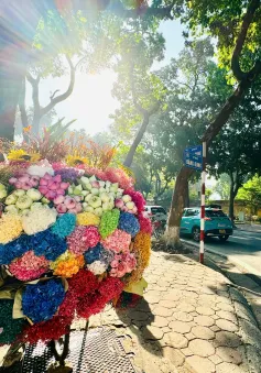 "Check-in" Hà Nội mùa thu: Những góc nhỏ làm say đắm lòng người